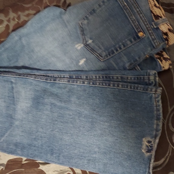 Roberto Cavalli jeans - Picture 7 of 7